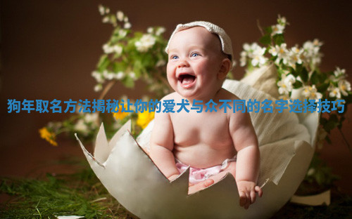 狗年取名方法揭秘让你的爱犬与众不同的名字选择技巧