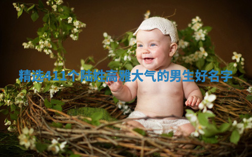 陆姓高雅大气的男生名字